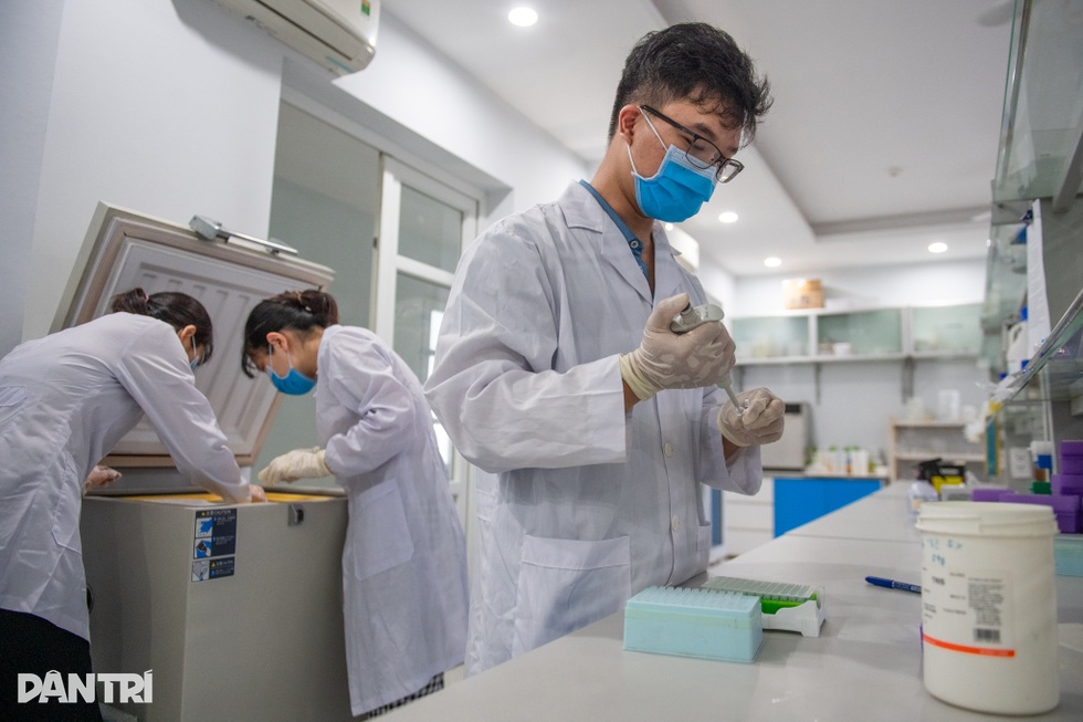 Giải mã gen tìm tầm vóc của cây lúa Việt trong kỷ nguyên mới - 17 Giải mã gen tìm tầm vóc của cây lúa Việt trong kỷ nguyên mới - 17