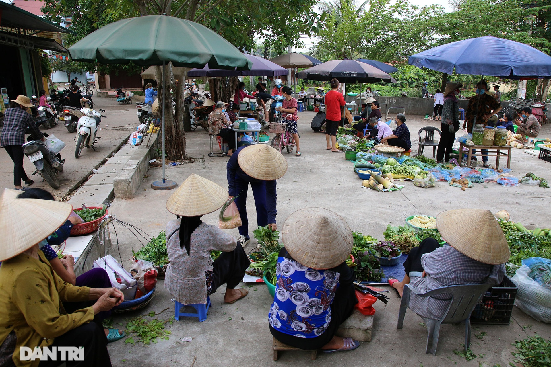 Phong cảnh đặc trưng của vùng đất xứ Đoài mây trắng - 8