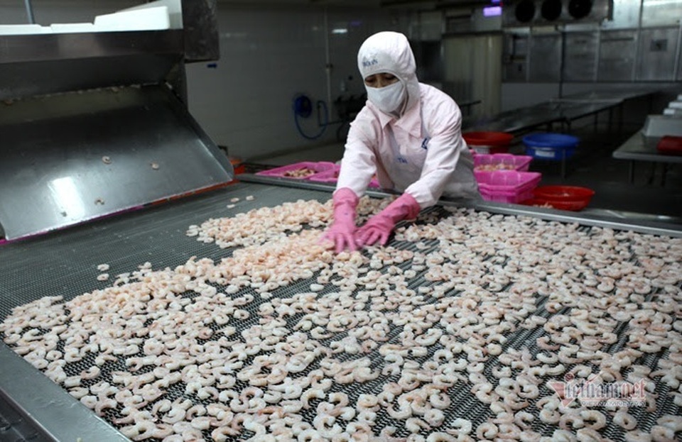 Vừa đón tin vui, thế mạnh 8 tỷ USD của Việt Nam bị cảnh báo nguy hiểm - 2