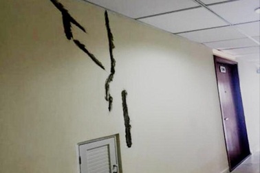 Công ty con của “Nhà phát triển Bất động sản tốt nhất 2016” bị kiện vì chất lượng kém