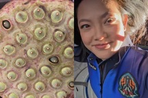 Tiết lộ bất ngờ về 169 hạt sen Việt Nam đầu tiên vừa bay vào vũ trụ