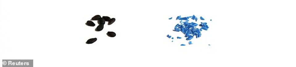 Sốc: Chúng ta nạp vào cơ thể 20 kg nhựa trong 79 năm cuộc đời - 2 Sốc: Chúng ta nạp vào cơ thể 20 kg nhựa trong 79 năm cuộc đời - 2