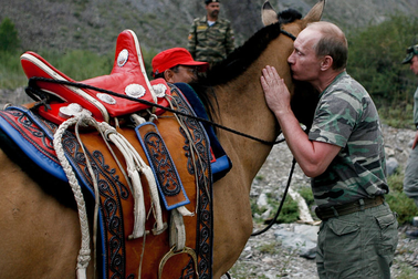 Tình yêu động vật của Tổng thống Putin