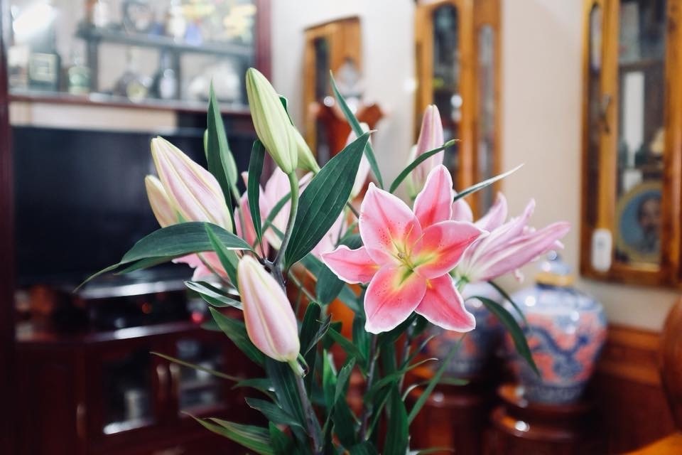 Tết Việt trên đất Mỹ: Tết ở trong tim những người con xa xứ - 5 Tết Việt trên đất Mỹ: Tết ở trong tim những người con xa xứ - 5