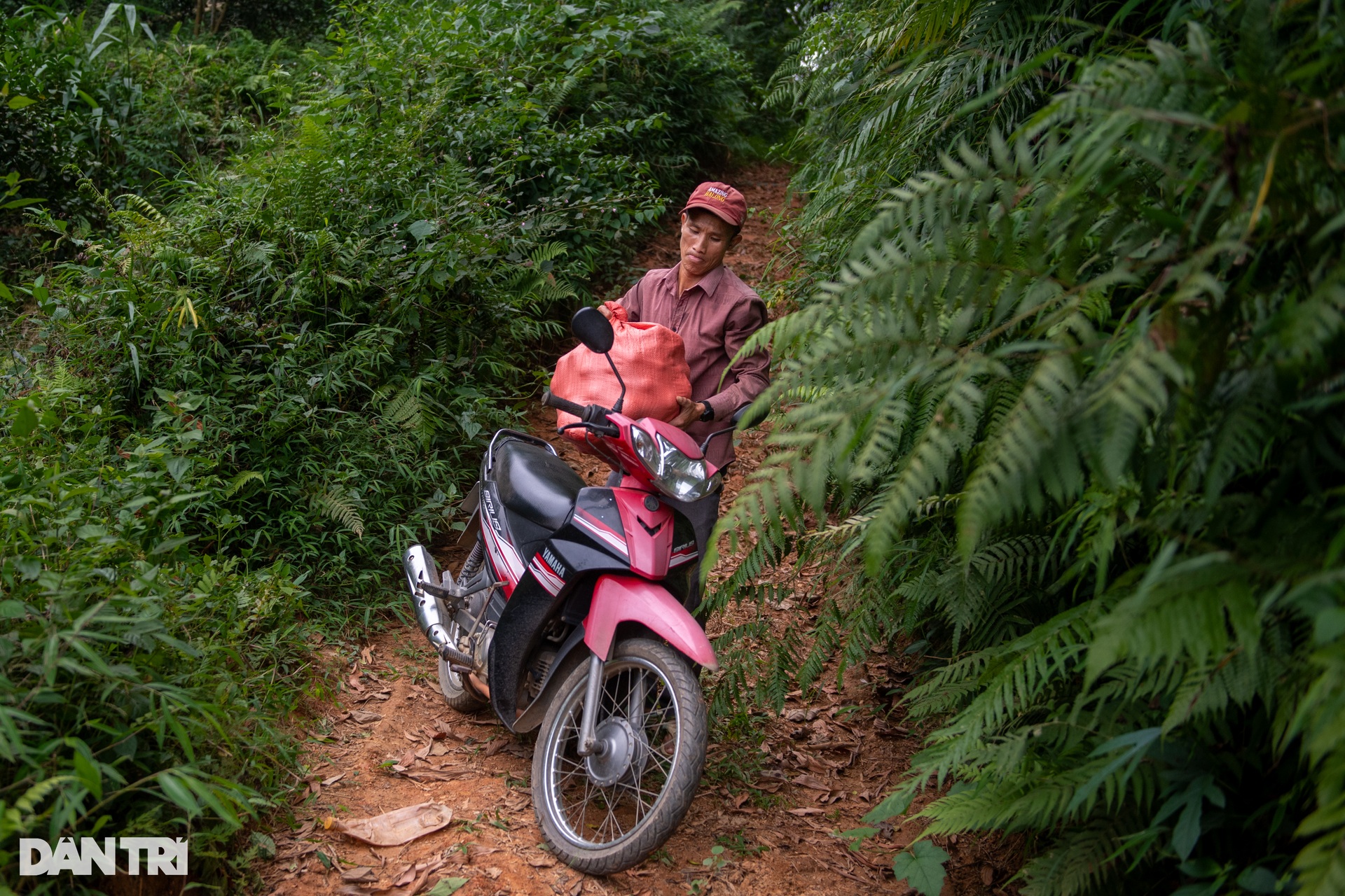 Anh nông dân và giấc mơ ghi tên trên bảng vàng Marathon Việt Nam - 11 Anh nông dân và giấc mơ ghi tên trên bảng vàng Marathon Việt Nam - 11
