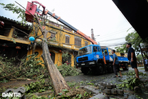 Những bệnh ngoài da thường gặp sau bão lũ và cách điều trị