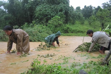 Bốn thanh niên xả thân cứu người trong lũ dữ