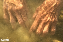 Ngâm mình tới ngang ngực, ngư dân bới đá tìm "hạt ngọc" biển