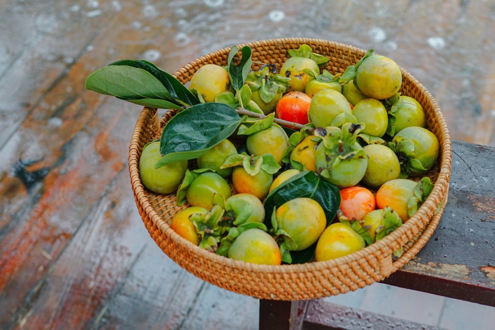 Vườn hồng trĩu quả giữa Đà Lạt của vợ chồng bỏ phố về núi - 10 Vườn hồng trĩu quả giữa Đà Lạt của vợ chồng bỏ phố về núi - 10