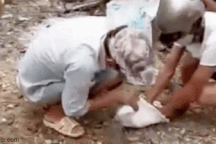 Bắt rắn bò vào nhà hàng xóm, người đàn ông bị rắn cắn chết