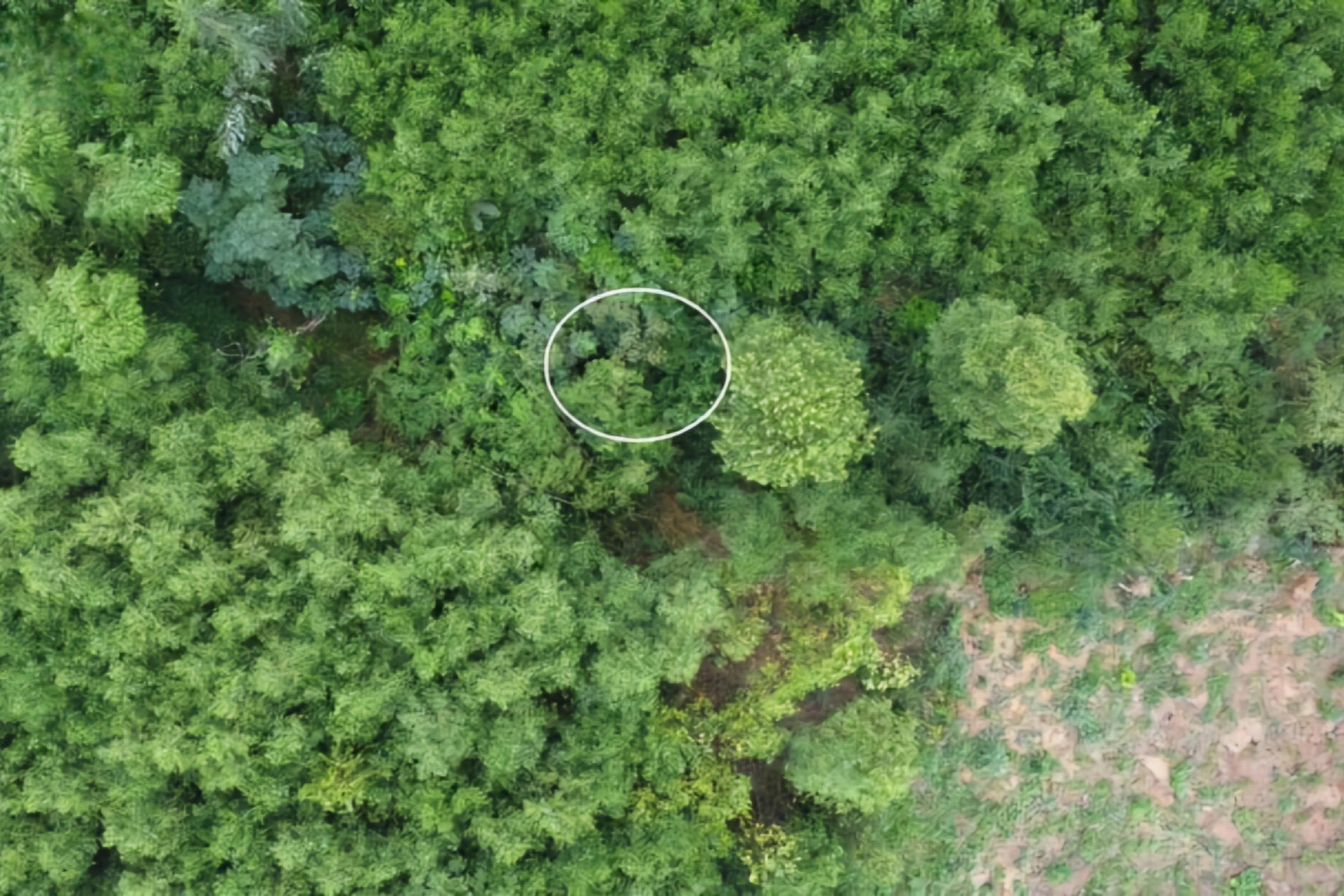 A rendőrség nyomoz egy kétéves kisfiú ügyében, aki rejtélyes módon eltűnt, és nemrég találták meg - 2 Công an đang điều tra vụ bé trai 2 tuổi mất tích bí ẩn vừa được tìm thấy - 2