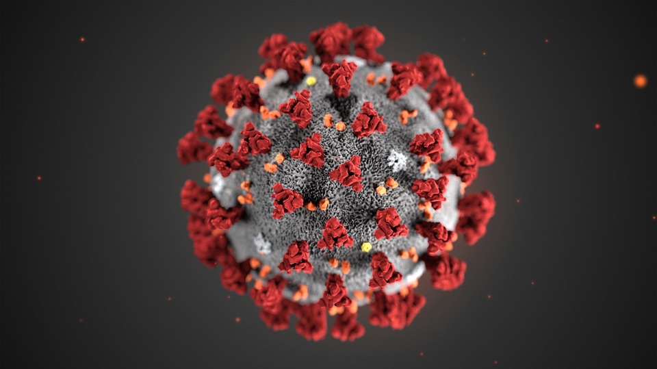 WHO: Virus corona mới có tên gọi chính thức là “COVID-19” - 2 WHO: Virus corona mới có tên gọi chính thức là “COVID-19” - 2