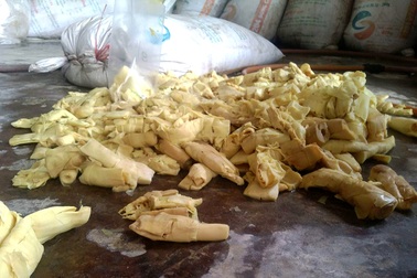 Phát hiện 12 tấn măng tươi ngâm trong chất tẩy độc hại