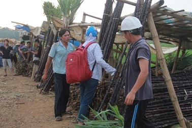 Đốt bỏ 1.000 ha mía tím: Lặp lại kịch bản dưa hấu, hành tím