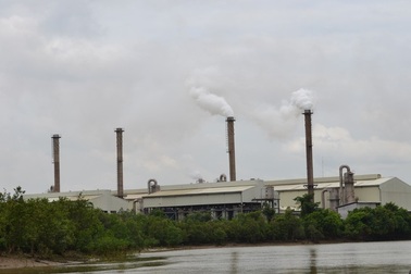 Sau Formosa  đến lượt Vedan xin tự nhập than để phát điện