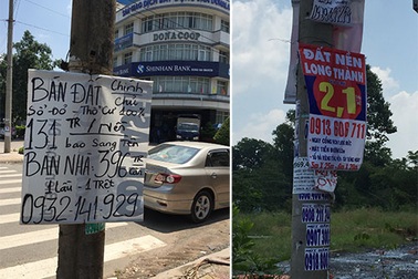 Bát nháo đất Long Thành