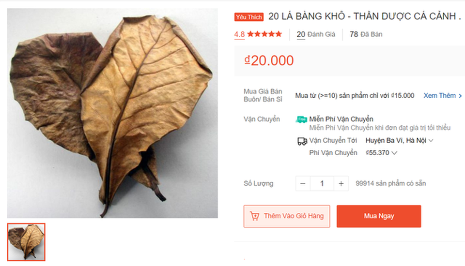 Hòn đá, lá bàng khô lần lượt đổi đời nhờ sàn thương mại điện tử - 2 Hòn đá, lá bàng khô lần lượt đổi đời nhờ sàn thương mại điện tử - 2