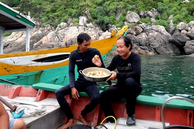 Hy hữu: Rùa đẻ trứng dưới biển Cù Lao Chàm