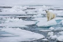 Đố bạn làm trắc nghiệm Địa lý dành cho học sinh lớp 5