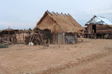 Mở rộng diện tích cao su, dân khốn đốn