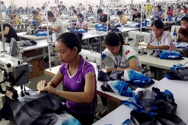 Mức thưởng Tết bình quân giảm từ 8 - 12%