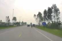 Nổi bật tuần qua: Cưa cây bất cẩn gây họa cho người đi đường