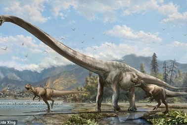 Tìm thấy xương khủng long cổ dài ở Trung Quốc