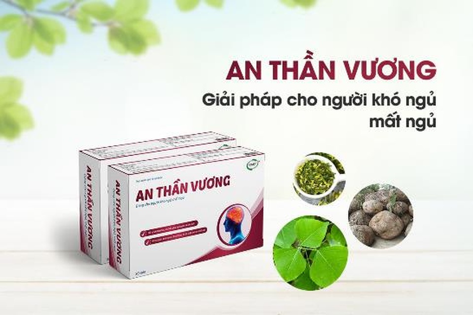 TPBVSK An Thần Vương: Giải pháp hữu hiệu cho người mất ngủ, khó ngủ - 2 TPBVSK An Thần Vương: Giải pháp hữu hiệu cho người mất ngủ, khó ngủ - 2