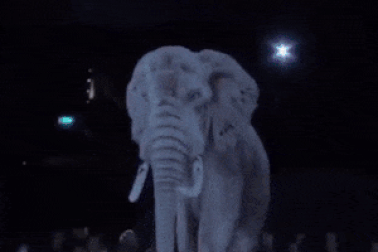 Trình diễn ánh sáng 3D ngoạn mục nhất trong ngành xiếc