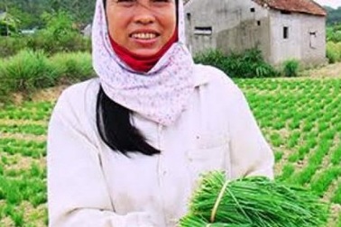 Trồng hẹ cho thu nhập hơn 200 triệu đồng/ha