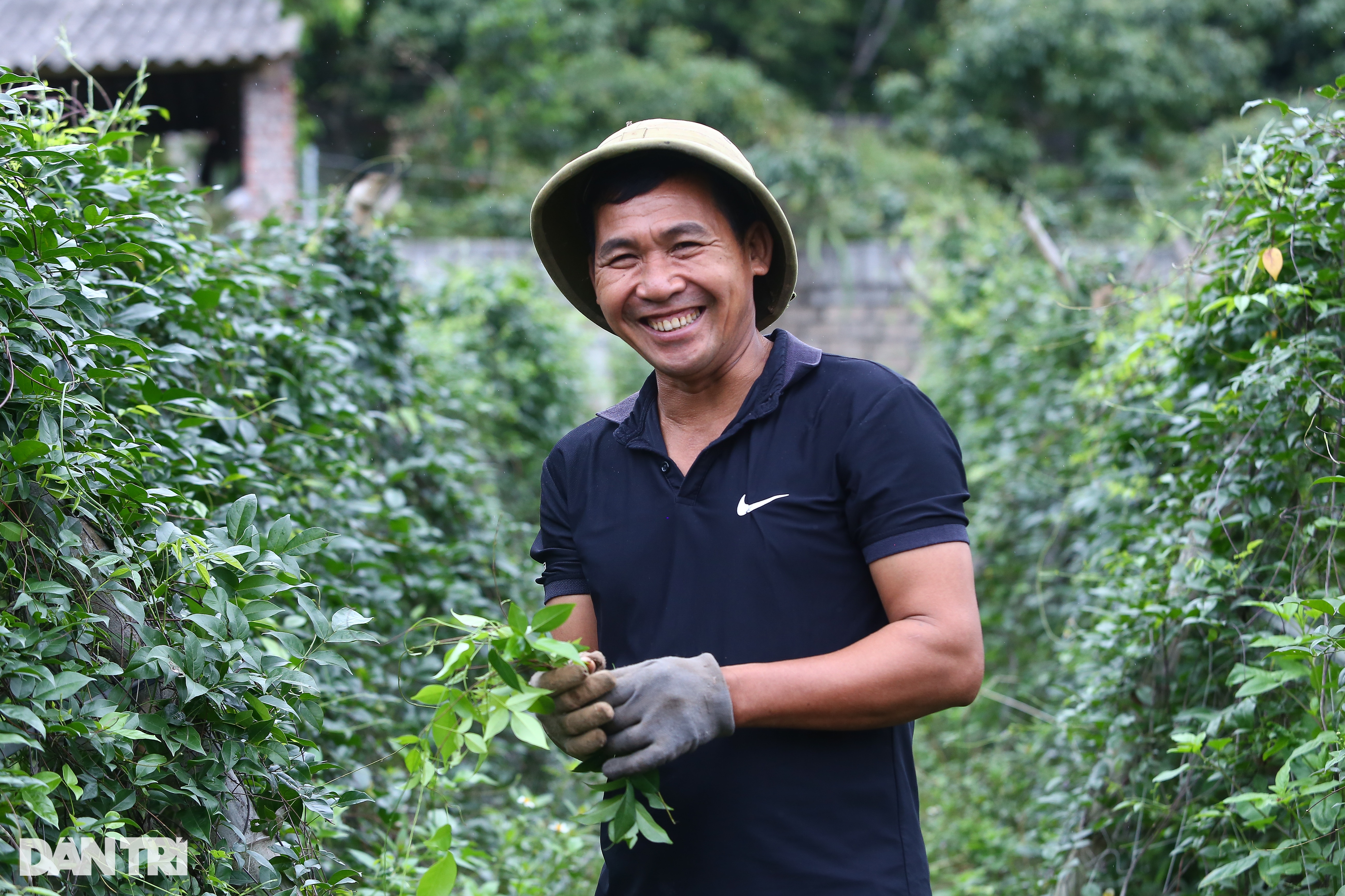 Mách nhau cho gà ăn siêu sang, nông dân kiếm nửa tỷ đồng mỗi năm - 4 Mách nhau cho gà ăn siêu sang, nông dân kiếm nửa tỷ đồng mỗi năm - 4