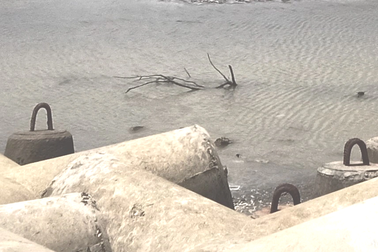 Người đàn ông tử vong khi lặn biển đục hàu