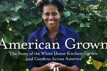 Michelle Obama lần đầu xuất bản sách