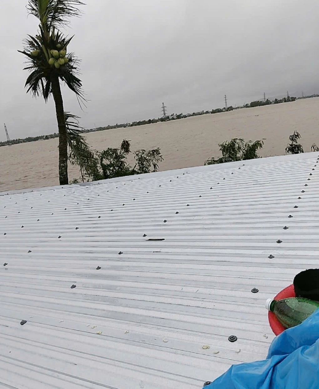 Mẹ ôm hai con trên nóc nhà kể 27 tiếng sinh tử giữa lũ, vỡ òa khi gặp chồng - 3