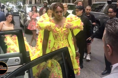 Serena Williams dự tiệc Met gala