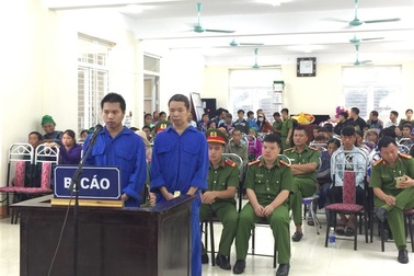 Phá gần 17 ngàn m2 rừng, 2 đối tượng lĩnh hơn 14 năm tù