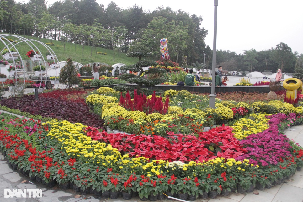 Rực rỡ con đường hoa nghệ thuật chào đón năm mới - 5 Rực rỡ con đường hoa nghệ thuật chào đón năm mới - 5