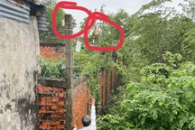 Vụ làm hỏng camera nhà hàng xóm: Đình chỉ bị can