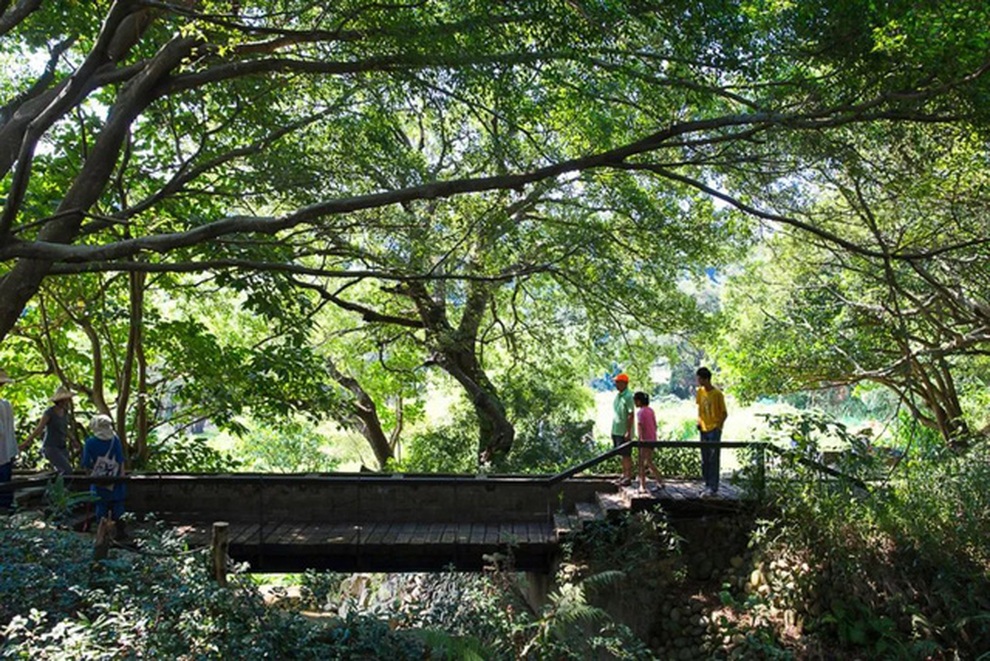 24 gia đình tậu mảnh đất 8.000 m2, dựng ngôi làng bồng lai tiên cảnh - 8 24 gia đình tậu mảnh đất 8.000 m2, dựng ngôi làng bồng lai tiên cảnh - 8