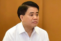 Công ty Sinh Thái Xanh chi tiền tỷ để mua cây tặng ông Nguyễn Đức Chung