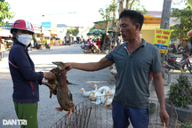 Khách vừa bóp vừa nặn, chủ bán cả trăm con vịt ngày Tết Đoan Ngọ