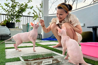 Cô gái chi 10 triệu đồng mỗi tháng nuôi đàn mèo trần trụi nhất thế giới