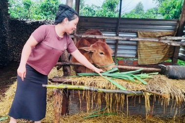 Gia Lai hỗ trợ sinh kế giúp người dân thoát nghèo bền vững