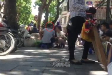 Giao dịch đáng sợ ở "chợ" bán tinh trùng Hà Nội