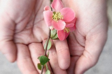 Mạnh dạn từ bỏ để đi tìm hạnh phúc