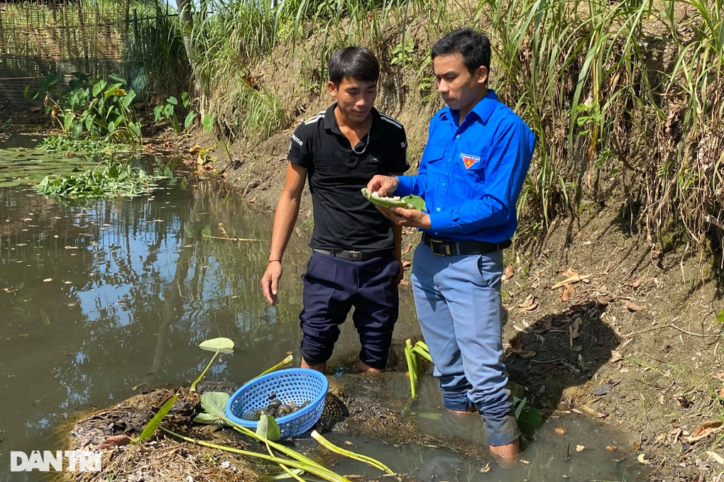 Chàng thanh niên bôn ba làm thuê, quay về giúp dân bản cùng đi lên - 2 Chàng thanh niên bôn ba làm thuê, quay về giúp dân bản cùng đi lên - 2