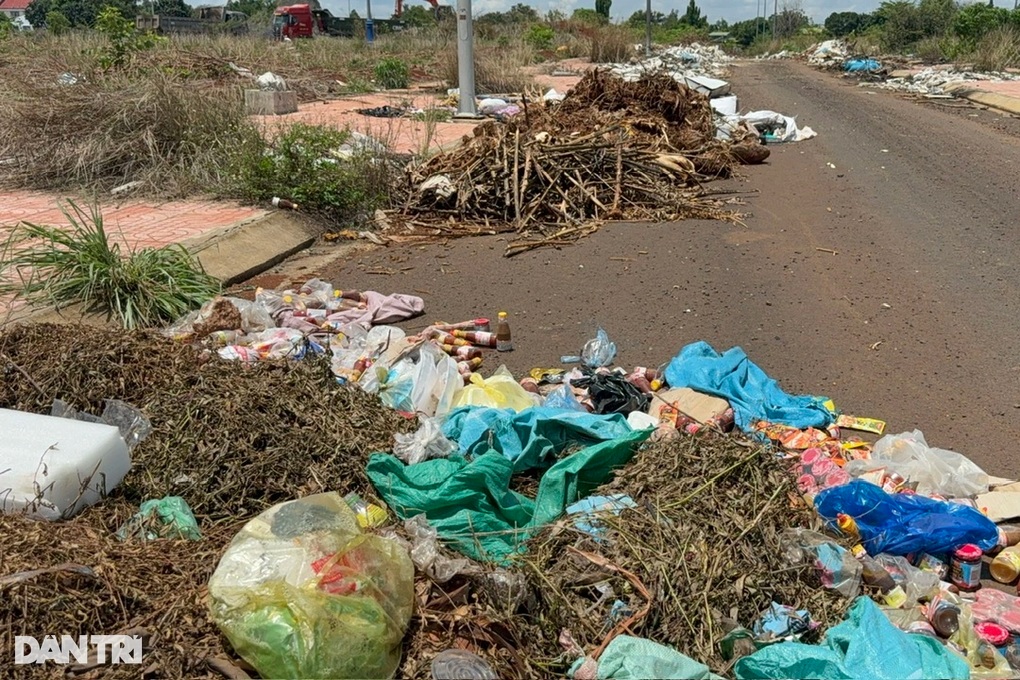 Chủ đầu tư dọn dẹp rác thải, kim tiêm tại 2 dự án hàng trăm tỷ đồng - 3 Chủ đầu tư dọn dẹp rác thải, kim tiêm tại 2 dự án hàng trăm tỷ đồng - 3