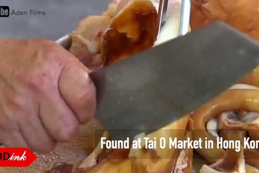 Mực khổng lồ to như con ngỗng hút khách ở Hong Kong như thế nào