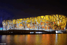 Sân vận động hình tổ chim độc đáo nhất thế giới