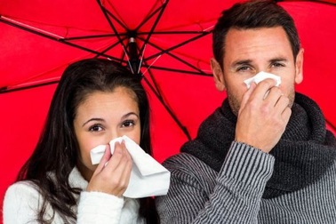 Vi rút phân biệt giới tính có thể tồn tại